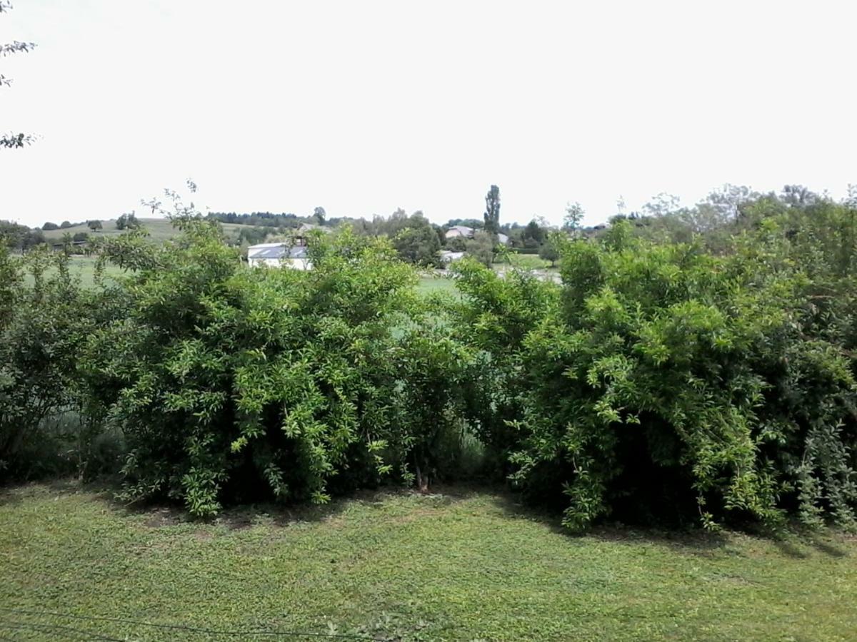 Les Haies Vives Choisy Buitenkant foto